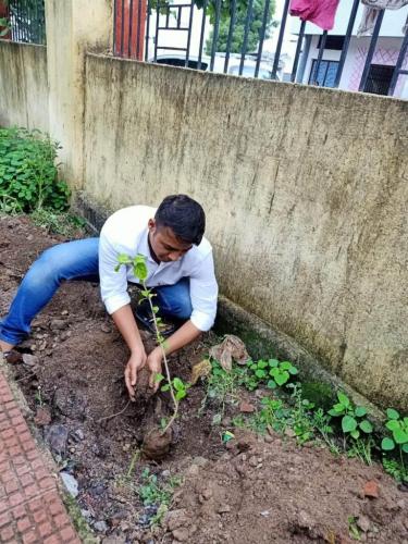 Plantation by office staff